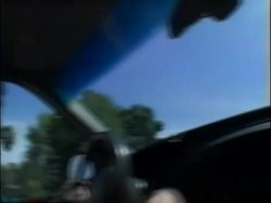 'Tranny Hunter' screenshot nº 3