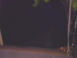 Captura de 'WPINK TV Part 2' nº 108