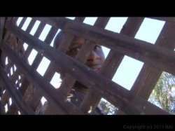 'She Got Way Mo Ass 4' screenshot nº 72