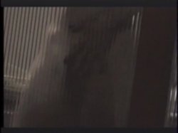 'Curse of the Lesbian Love Goddess' screenshot nº 83