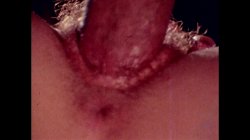'She-Male Encounters Volume 3' screenshot nº 129