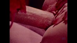 'She-Male Encounters Volume 3' screenshot nº 137