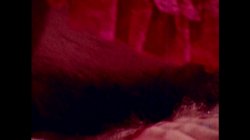 'She-Male Encounters Volume 3' screenshot nº 139
