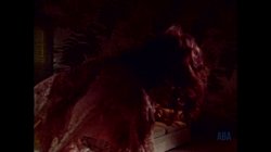 'She-Male Encounters Volume 3' screenshot nº 75