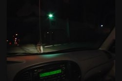 'Black Street Hookers 82' screenshot nº 32