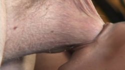 'Exotic Latin MILFs' screenshot nº 103