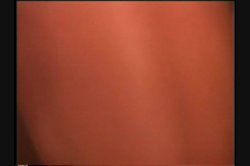 Captura de 'Hollywood Orgies: Nikki Dial' nº 97
