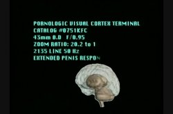 'Pornological 6' screenshot nº 1