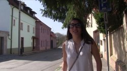 'Public Agent Vol. 9' screenshot nº 40