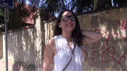'Public Agent Vol. 9' screenshot nº 41