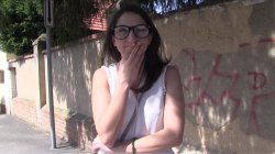 'Public Agent Vol. 9' screenshot nº 43