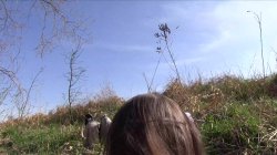 'Public Agent Vol. 9' screenshot nº 72