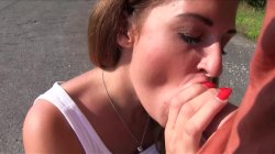 'Public Agent Vol. 9' screenshot nº 91