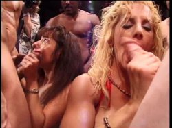 Captura de 'American Cocksucking Championship 8' nº 123