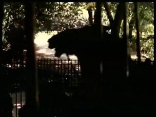 Scene 6