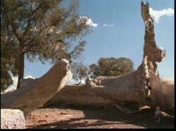 Captura de 'Private XXX 02' nº 87