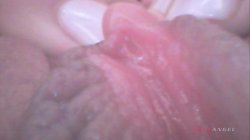 'Inspect Her Gape 3' screenshot nº 74