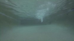 'Water World: Underwater Sex 3' screenshot nº 8
