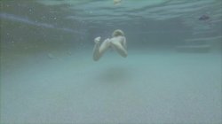 'Water World: Underwater Sex 3' screenshot nº 14