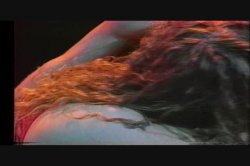 'Mating Pot, The' screenshot nº 31