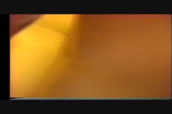 'Mating Pot, The' screenshot nº 19