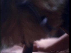 Captura de 'Marilyn Chambers' Private Fantasies 3' nº 80