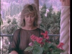Captura de 'Marilyn Chambers' Private Fantasies 3' nº 102
