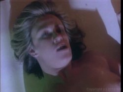 Captura de 'Marilyn Chambers' Private Fantasies 3' nº 121