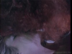 Captura de 'Marilyn Chambers' Private Fantasies 3' nº 123