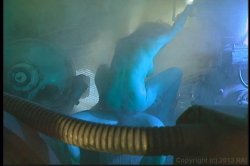 'Missionary Impossible' screenshot nº 74