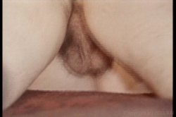 Captura de 'Marilyn Chambers' Private Fantasies 2' nº 78