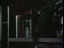 Captura de 'Marilyn Chambers Private Fantasies 5' nº 9
