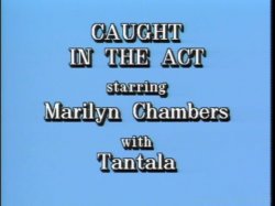 Captura de 'Marilyn Chambers Private Fantasies 5' nº 2