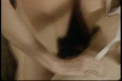 Captura de 'Marilyn Chambers Private Fantasies 6' nº 22