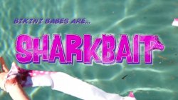 Captura de 'Shark Bait' nº 1