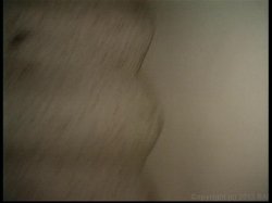 Captura de 'Only the Best of Seymore Butts 1' nº 111
