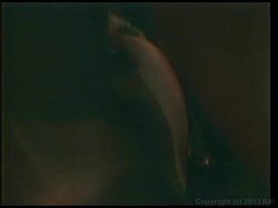 'Blonde Fire' screenshot nº 45