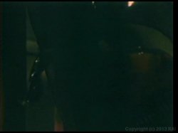 'Blonde Fire' screenshot nº 59