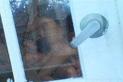 Captura de 'Filthy's Peepin' Tom 5' nº 60