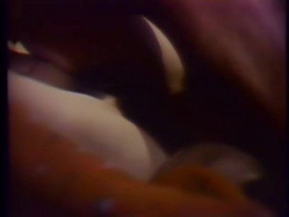 Scene 3