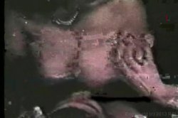 Captura de 'Bra-Busters from the 1950s & '60s' nº 48