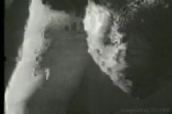 Captura de 'Bra-Busters from the 1950s & '60s' nº 70