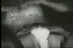 Captura de 'Bra-Busters from the 1950s & '60s' nº 74