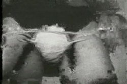 Captura de 'Bra-Busters from the 1950s & '60s' nº 82