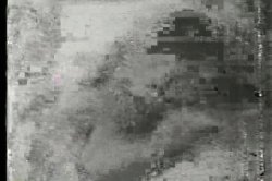 Captura de 'Bra-Busters from the 1950s & '60s' nº 17