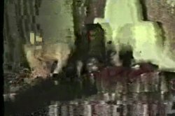 Captura de 'Bra-Busters from the 1950s & '60s' nº 18