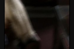 'Bad Habits' screenshot nº 102