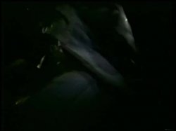 Captura de 'Dracula Exotica' nº 54