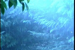 'Flashflood 3' screenshot nº 1