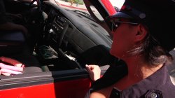 'Busty Cops on Patrol' screenshot nº 4